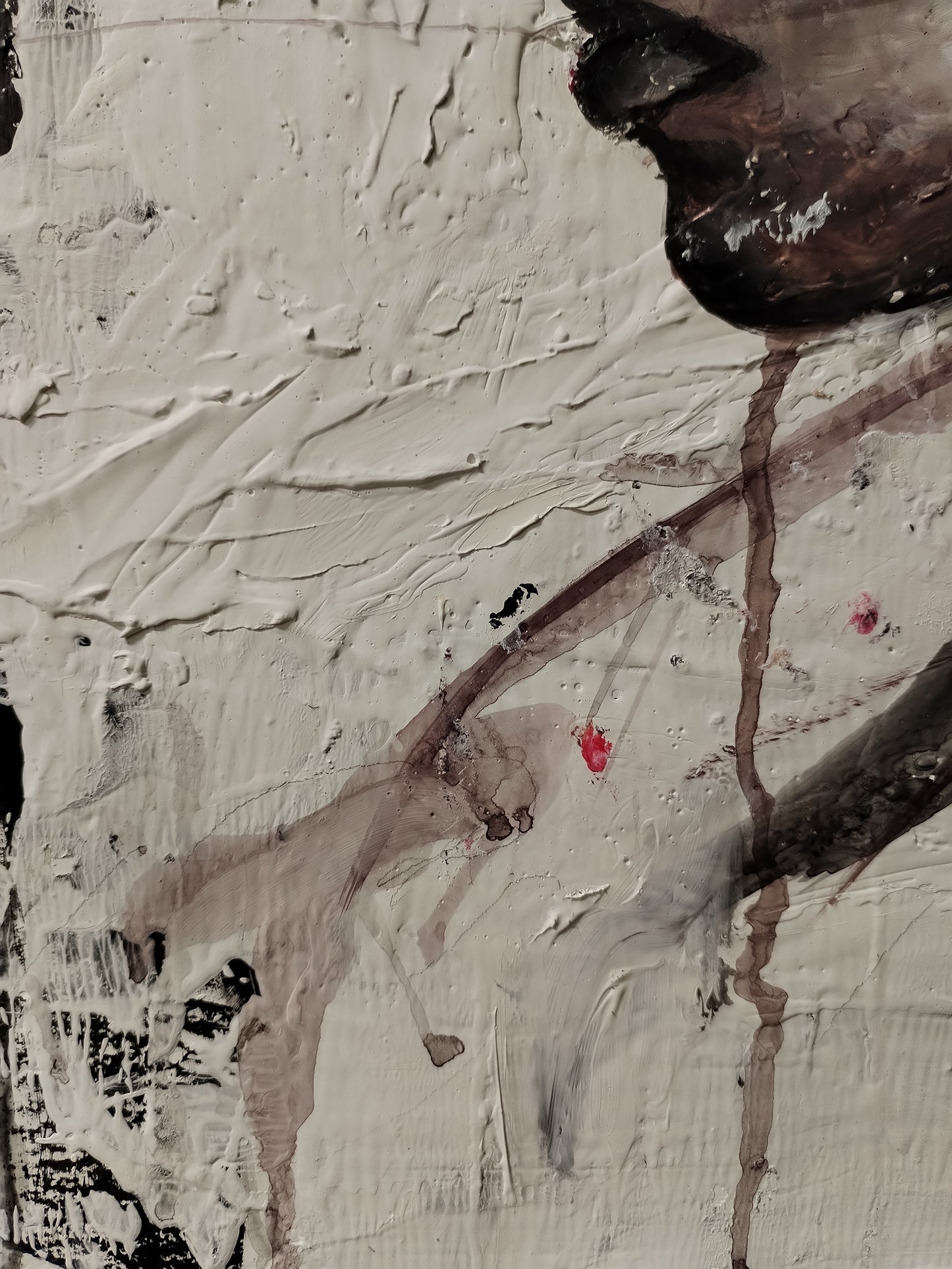 ACCAREZZATA DAL VENTO